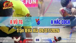 Xem Trận 8 Xà Xía Ngày 9/7/2026 tại Vua Gà AZ