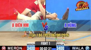 Trận 1 CPC2 06/08/2026 – Gà Anh Hùng Mở Màn Đá Đúng 1 Chân Lụm Tiền