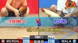Trận 1 CPC2 08/08/2026 – Gà Khét Anh Dương Mở Bát Quá Thuận Lợi
