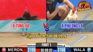 Trận 1 CPC2 10/08/2026 – Gà Bướm Anh Phương Đá Toàn Đâm Mu Lưng