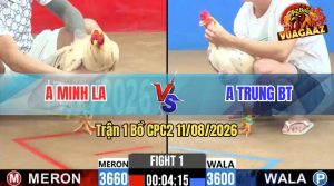 Trận 1 CPC2 11/08/2026 – Anh Trung Gặp Má Minh Ở Trận Mở Màn