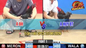 Trận 1 CPC2 12/08/2026 – Anh Huy Bến Tre Mở Bát Quá Mát Tay