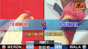 Trận 1 CPC2 16/08/2026 – Gà Anh Dũng Gồng Gánh Cứu Chủ
