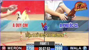 Trận 1 CPC2 17/08/2026 – Gà Điều Anh Phước Mở Màn Quá Thuận Lợi