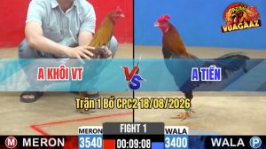 Trận 1 CPC2 18/08/2026 – Gà Xám Anh Khôi Bươi Chà Như Cái Máy