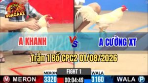 Trận 1 CPC2 Ngày 1/8/2026 Tại Vua Gà AZ