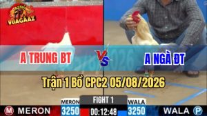 Trận 1 CPC2 Ngày 5/8/2026 Vua Gà AZ