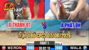 Trận 1 CPC2 Ngày 7/8/2026 Vua Gà AZ