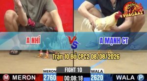 Trận 10 CPC2 08/08/2026 – Gà Bướm Anh Mạnh Bươi Chà Như Cái Máy