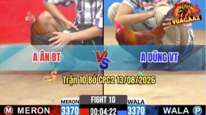 Trận 10 CPC2 13/08/2026 – Anh Dũng Tung Gà Hiệu Ra Đá Cựa Quá Đâm