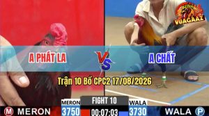 Trận 10 CPC2 17/08/2026 – Gà Anh Phát Đá Cựa Đâm Như Đời Tới