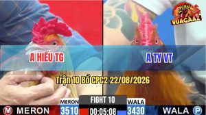 Trận 10 CPC2 22/08/2026 – Gà Chuối Anh Hiếu Có Chân Phản Quá Hay