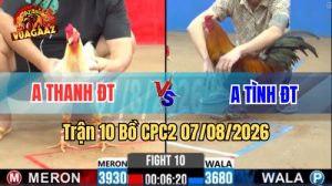 Trận 10 CPC2 Ngày 7/8/2026 Vua Gà AZ