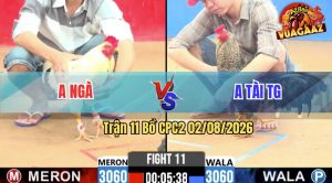 Trận 11 CPC2 02/08/2026 – Anh Ngà Đánh Bại Anh Tài Trong Dễ Dàng
