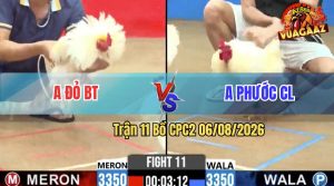 Trận 11 CPC2 06/08/2026 – Anh Đỏ Phóng Bạc, Buông Ra Anh Phước Lụm
