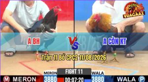 Trận 11 CPC2 11/08/2026 – Anh Còn Bị Dí Bạc Ăn 5 Mà Vẫn Lụm