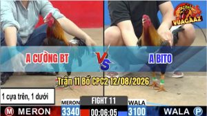 Trận 11 CPC2 12/08/2026 – Anh Bito Tiếp Tục Có Pha Lật Ngược Thế Cờ