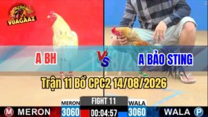 Trận 11 CPC2 Ngày 14/8/2026 Trên Vua Gà AZ