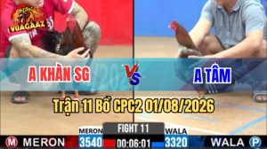 Trận 11 CPC2 Ngày 1/8/2026 Tại Vua Gà AZ