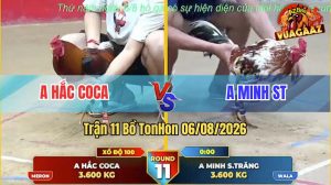 Trận 11 TonHon 06/08/2026 – Gà Bông Anh Minh ST Lật Kèo Ở Phút 90
