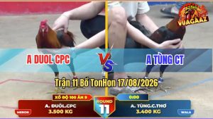 Trận 11 Tonhon 17/08/2026 – Anh Tùng Là Thịt Anh Duol CPC Nhanh Gọn