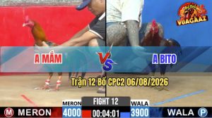 Trận 12 CPC2 06/08/2026 – Anh Mắm Đụng Độ Với Anh Bito
