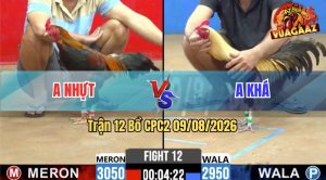 Trận 12 CPC2 09/08/2026 – Anh Khá Chưa Gì Bị Dí Bạc Và Cái Kết