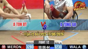 Trận 12 CPC2 17/08/2026 – Gà Anh Tùng Đá Đâm Toàn Cựa Nghiệt