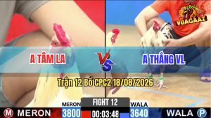 Trận 12 CPC2 18/08/2026 – Kẻ Tám Lạng Gặp Phải Người Nửa Cân