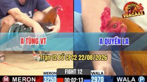 Trận 12 CPC2 22/08/2026 – Anh Quyền Chấp Ngông Bị Anh Tùng Lụm
