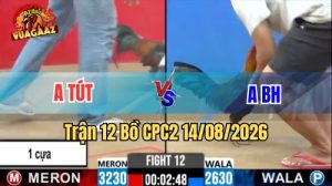 Trận 12 CPC2 Ngày 14/8/2026 Trên Vua Gà AZ