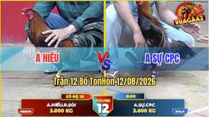 Trận 12 Tonhon 12/08/2026 – Gà Anh Sự CPC Đá Cựa Đâm Như Sát Thủ