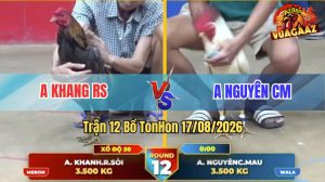 Trận 12 Tonhon 17/08/2026 – Gà Úa Anh Nguyên Lùa Đúng Cơ, Đỏ Lật Xe