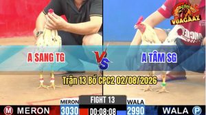 Trận 13 CPC2 02/08/2026 – Anh Sang Hạ Anh Tâm Trong Vòng 3 Nốt Nhạc
