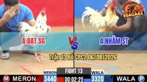 Trận 13 CPC2 06/08/2026 – Gà Anh Nhẫn Canh Chặn Khôn Như Người Ta