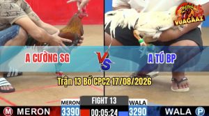 Trận 13 CPC2 17/08/2026 – Anh Tú Hạ Anh Cường Gãy Giò Hết Phản