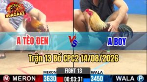 Trận 13 CPC2 Ngày 14/8/2026 Trên Vua Gà AZ