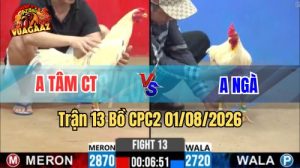 Trận 13 CPC2 Ngày 1/8/2026 Tại Vua Gà AZ