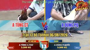 Trận 13 TonHon 06/08/2026 – Anh Dũng PQ Làm Thịt Anh Tùng CT