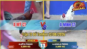 Trận 13 Tonhon 12/08/2026 – Anh Minh Có Chân Dứt Điểm Phút 90