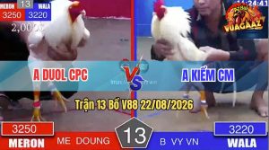 Trận 13 V88 22/08/2026 – Anh Duol CPC Làm Thịt Anh Kiểm CM Nhanh Gọn