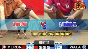 Trận 14 CPC2 08/08/2026 – Anh Dương Tiễn Anh Thắng VL Lên Đường