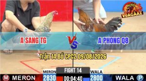 Trận 14 CPC2 09/08/2026 – Anh Phong Nằm Bạc Dưới Mà Đá Như Đạn