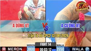 Trận 14 CPC2 13/08/2026 – Anh Cường Lật kèo Hạ Anh Dũng VT
