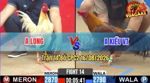 Trận 14 CPC2 16/08/2026 – Anh Long Hạ Anh Kiều Trong 3 Chân Cựa