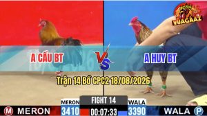 Trận 14 CPC2 18/08/2026 – Anh Huy Có Pha Lật Ngược Thế Cờ Quá Hay