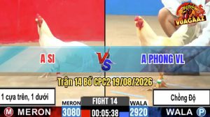 Trận 14 CPC2 19/08/2026 – Gà Anh Phong Chồng Độ Lên Lớp Nhanh Gọn