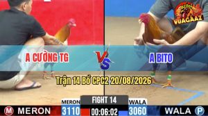 Trận 14 CPC2 20/08/2026 – Anh Bito Chưa Thả Gà Đã Bị Phóng Ăn 6