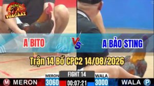 Trận 14 CPC2 Ngày 14/8/2026 Trên Vua Gà AZ