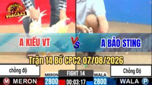 Trận 14 CPC2 Ngày 7/8/2026 Vua Gà AZ